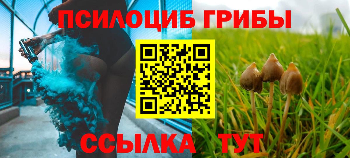 Псилоцибиновые грибы Psilocybine cubensis Елизово