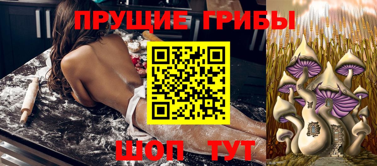Елизово  Псилоцибиновые грибы мицелий  купить наркотик  Вход с VPN  Псилоцибиновые грибы ЛСД 